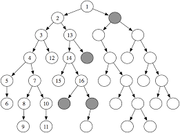 Artificial Inteligence Search Algorithms